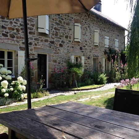 B&B Maison Coralie Sainte-Christine  Zewnętrze zdjęcie